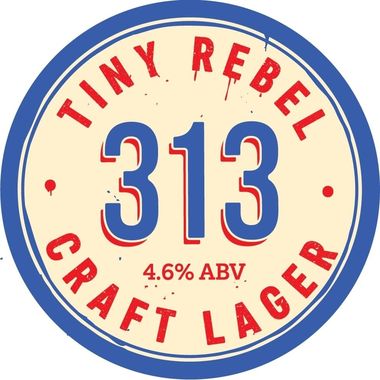 313 Craft Lager 30 lt x 1